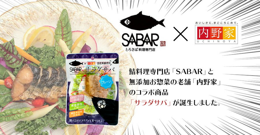 レトルト サラダサバ プレーン 1切れ　無添加 uchipac 常温ロングライフ　食品添加物 保存料不使用