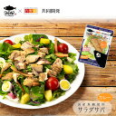 レトルト サラダサバ カレー 1切れx6袋 無添加 uchipac 常温ロングライフ 食品添加物 保存料不使用