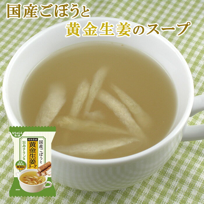 化学調味料無添加 フリーズドライ ごぼうと生姜のスープ 9gX10個 高知県産 黄金生姜 使用 イー・有機生活