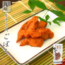 惣菜 九州 ちぎり天 ごぼう 50g入り 