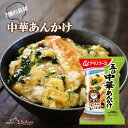 アマノフーズ フリーズドライ 五目中華あんかけ 17.0g 非常食 丼