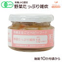 有機まるごとベビーフード 野菜たっぷり雑炊 100g 後期10か月頃から 味千汐路 常温保存 国産 有機素材 JAS認定