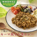ご飯がいらないもち麦カレー まんでがん 動物性食品不使用 食品添加物不使用 レトルト 健康志向 保存食 非常食 備蓄 一人暮らし プレゼント 仕送り