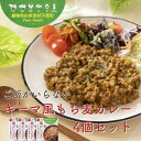 ご飯がいらないもち麦カレー4個セット まんでがん 動物性食品不使用 食品添加物不使用 レトルト 健康志向 保存食 非常食 備蓄 一人暮らし プレゼント 仕送り