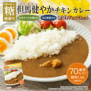 ギフト 糖斬 但馬健やかチキンカレー 13個 ギフトボックスセット 低糖質 レトルト 但馬すこやかどり 糖質制限 常温保存