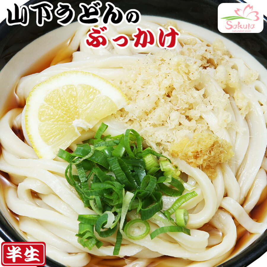 讃岐うどん 山下のぶっかけうどん 2食入（半生麺、箱）...