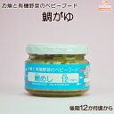 お魚と有機野菜のベビーフード 鯛めし 100g 後期12か月頃から 味千汐路