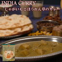 インド じゃがいもとほうれん草 カレー 170gX6箱 セット (本格インドカレー)【レトルトカレー・ご当地カレー】化学調味料・小麦粉・肉エキス不使用!