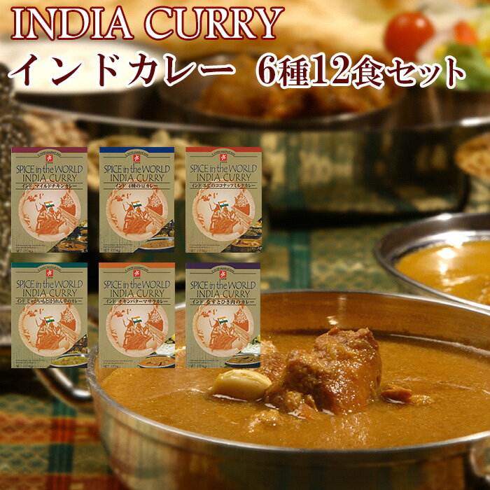 本格インドカレー6種類12食お試しセット（各170g×2食）【無添加レトルトカレー・ご当地カレー】化学調味料不使用！（レトルト食品）仕送り 買い置き 時短 グルメ 取り寄せ ストック 簡単 ギフト