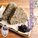 有機 発芽玄米 おにぎり(しそ)90g×2個 コジマフーズ 常温保存 長期保存 保存食 非常食 防災 災害対策 オーガニック 朝ごはん ランチ 夜食 ピクニック...