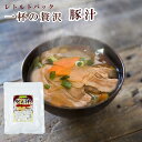 レトルト 総菜 豚汁250g 醤油味 具だくさん 長期1年保存