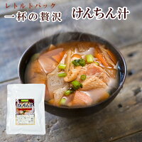 レトルト 総菜 けんちん汁250g 醤油味 具だくさん 長期1年保存