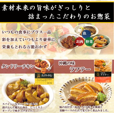 レトルト食品 惣菜 おかず詰め合わせセット 5種類10食セット(膳シリーズ) 鶏もも炭火焼 ゆず胡椒 牛すじ煮込み タンドリーチキン ラフテー 常温 レンジ