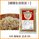 EM 令和4年産 美味米 玄米99（無洗米 1kg）愛知県産