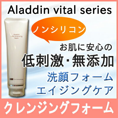 楽天naturalsalonバリバリオーガニーク【ポイント10倍】イオニート VIN （バン） アラジン バイタルクレンジングフォーム 150g イオニート ノンシリコン フェイシャルケア 低刺激 無添加 サロン専売 即納 お得 送料無料 ポイント10倍 あす楽 バン インターナショナル