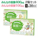 【1000円以上送料無料】葉酸サプリ マザーリーフ みんなの...
