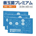 【送料無料】善玉菌プレミアム 30粒入り×3個セット(合計90粒)【1日1粒×約3ヶ月分】