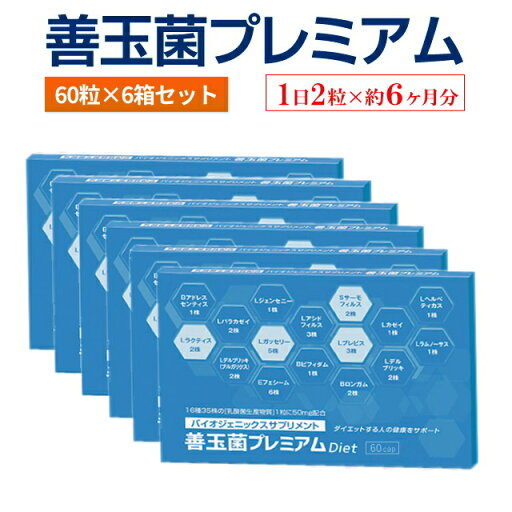 【送料無料】善玉菌プレミアム 60粒入り×6個セット(合計360粒)【1日2粒×約6ヶ月分】 【送料無料】善玉菌プレミアム 60粒入り×6個セット(合計360粒)【1日2粒×約6ヶ月分】