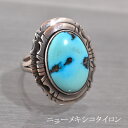 ニューメキシコ州 タイロン ターコイズ リング 18号 指輪 ジュエリー アクセサリー メンズ ギフト エスニック アジアン 天然石 パワーストーン