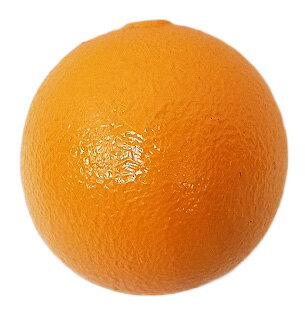 木製フルーツ　オレンジS