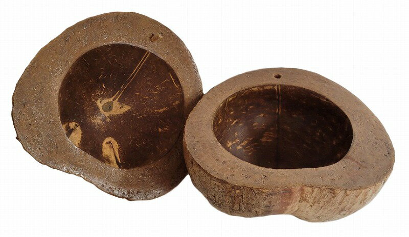 天然蓋付ココナッツ小物入れ(加工)【バリ・アジアン雑貨バリパラダイス】 [3]