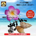 【1000円ポッキリ!送料無料】 ぽっきり 南の島のシェルキーホルダー3個+おまけフランジパニの造花アジアン雑貨/南の島/キーホルダー/バッグ/シェル/海/南の島/貝殻/トロピカル/ハワイアン/ジャスト/1,000円【バリ・アジアン雑貨バリパラダイス】