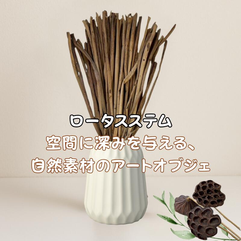 ロータスステム（蓮の茎）束ロータスステム 蓮 ロータス ハス 茎 ドライフラワー ナチュラル雑貨 ボタ..