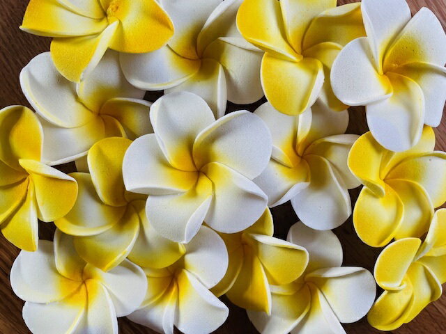 ץꥢ¤ 230ȯ ե տʪ եåȥХ ϥ磻󻨲 Բ