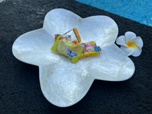シェルトレー プルメリア 単品発送230円発送可 シェル トレー 貝 リゾート スパ用品 エステ用品 バリ島 アジアン シェルトレー プルメリア 単品発送230円発送可 シェル トレー 貝 リゾート スパ用品 エステ用品 バリ島 アジアン