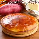 とりいさん家の芋チーズタルト 6〜8