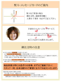 とりいさん家のCaramelチーズケーキ(4〜5人分)味わいのスイーツニューヨークチーズケーキ濃厚お菓子デザートキャラメル誕生日ホールケーキパーティーお取り寄せバースデー有名ギフト冷凍子ども)