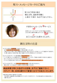 人気商品とりいさん家の芋ケーキMサイズ★スイートポテトさつまいもスイーツお歳暮手土産さつまいもサツマイモけーきムース鳴門金時誕生日ホワイトデー手作りペンギンイベント牛乳卵ギフト