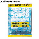 【ガビック/GAViC】 ジュニアプロテイン 12.5g ヨーグルト味 大豆 植物性プロテイン 成長期 GC4001-YOG ※返品 交換不可商品