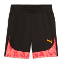 プーマ サッカー フットサル トレーニングウェア INDIVIDUAL ファイナル ショーツ プーマブラック ショートパンツ 【PUMA2024SS】 659492-57