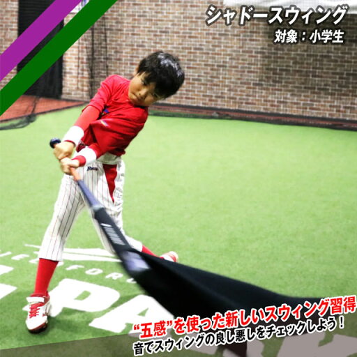 フィールドフォース シャドースウィング バッティング練習 小学生向け スウィングチェック フォーム改善 打撃練習 FSDW-6060S フィールドフォース シャドースウィング バッティング練習 小学生向け スウィングチェック フォーム改善 打撃練習 FSDW-6060S