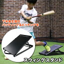 フィールドフォース スウィングスタンド バッティング練習 ピッチング練習 下半身強化 FSWS-2746