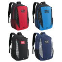 ローリングス ジュニア バックパック 約30L バット収納可能 再帰反射 Rawlings2025SS 野球 少年用 子ども EBP15S04
