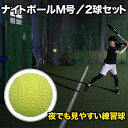 フィールドフォース ナイトボール M号 2P 2個セット 夜でも見やすい練習球 イエロー 軟式球 FNB-722MYN