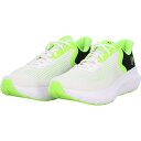 30%OFF アンダーアーマー ランニングシューズ UA CHARGED ROGUE 5 UAチャージド ローグ5 野球 一般 大人 3028256-101