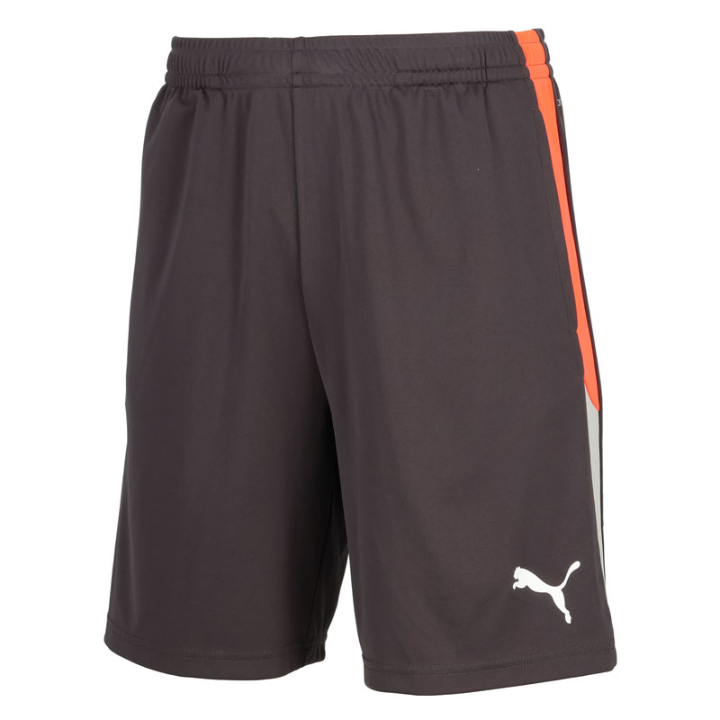 プーマ サッカー フットサル INDIVIDUALLIGA トレーニングショーツ シャドーグレー プラクティスパンツ..