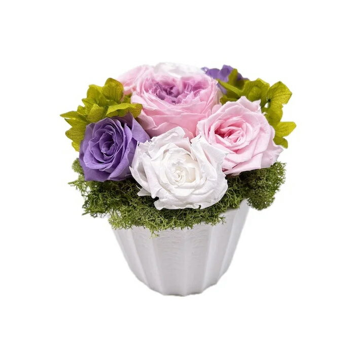 【12/4 20:00〜12/11 1:59ポイント2倍】お花 花 プリザーブド フラワー プレゼント ギフト おしゃれ 人..