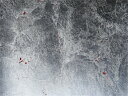 金箔壁クロス 銀赤 1m切売 ,内装輸入壁紙,WALLCOVERING,インテリア用品