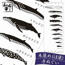 手ぬぐい 伝統技法 注染 和布華 日本製 クジラの寸法 てぬぐい 和柄 贈る ギフト プレゼント お祝い 手拭い 伝統工芸品 お祝い