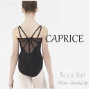 \Lineお友達いつでも300円OFFクーポン/【Wear Moi ウェアモア】 CAPRICE カプリス (子供 バレエレオタード) 【バレエアラベスク】