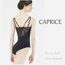 \Lineお友達いつでも300円OFFクーポン/【Wear Moi ウェアモア】 CAPRICE カプリス (大人 バレエレオタード) 【バレエアラベスク】