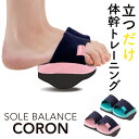 \Lineお友達いつでも300円OFFクーポン/ソールバランス コロン 体幹トレーニング ダイエットスリッパ 【アルファックス】 バランス 足裏 歩行 フットケ...