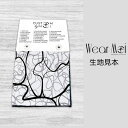 【Wear Moi ウェアモア】生地見本 ファブリックサンプル