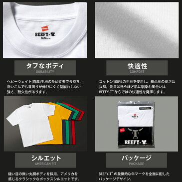 【今だけポイント2倍】 Hanes ヘインズ BEEFY ビーフィー クルーネック Tシャツ 半袖 メンズ パックT パック入り 白 黒 グレー ネイビー 無地 2枚組 【 メール便で 送料無料】