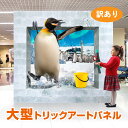 訳あり商品 外装箱ダメージ トリックアート ペンギン フォトスポット ...(3)