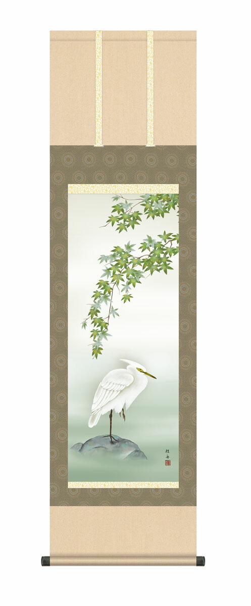 掛け軸 掛軸 夏掛け 花鳥画 「白鷺」 kz5ma11008 長江桂舟 送料無料 尺三 10年保証 和 和室 インテリア アート 日本画 しらさぎ 床の間 かけじく 床の間 飾 44.5cm×約164cm
